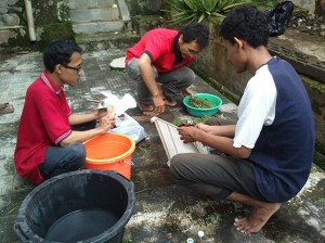 kerja bakti TPS